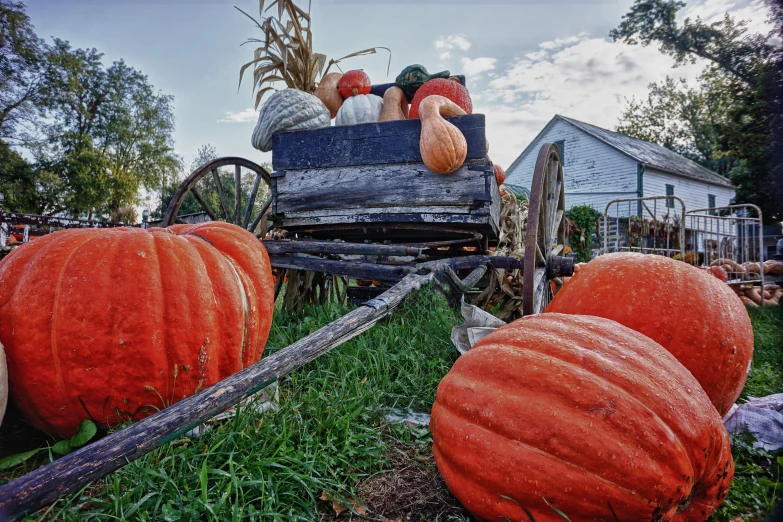 pumpkins in a wagon near a house