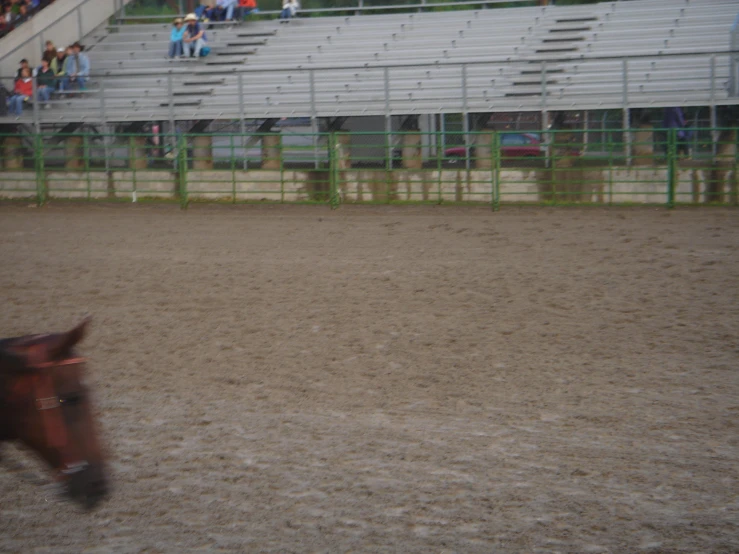 the horse is walking in the dirt near some bleachers