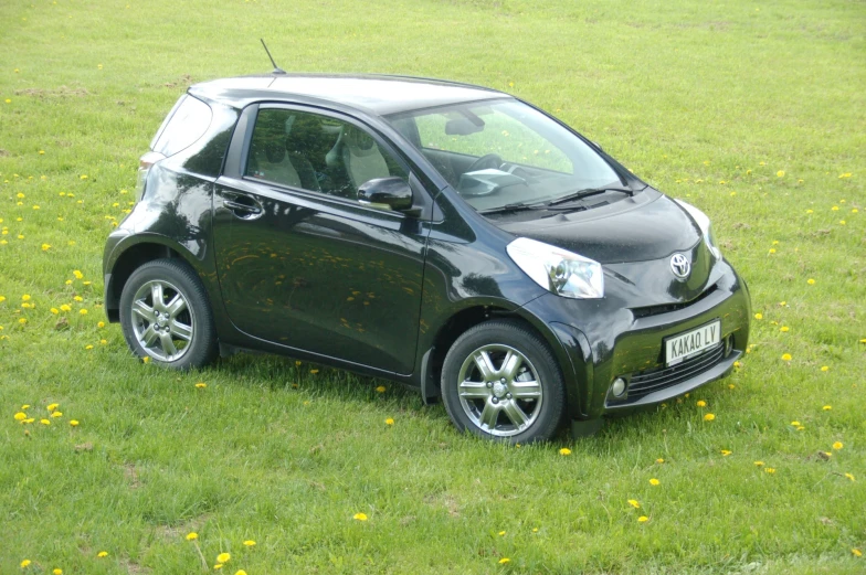 a small black car is parked in the grass