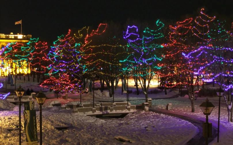 lighted trees are lit up at night in front of buildings