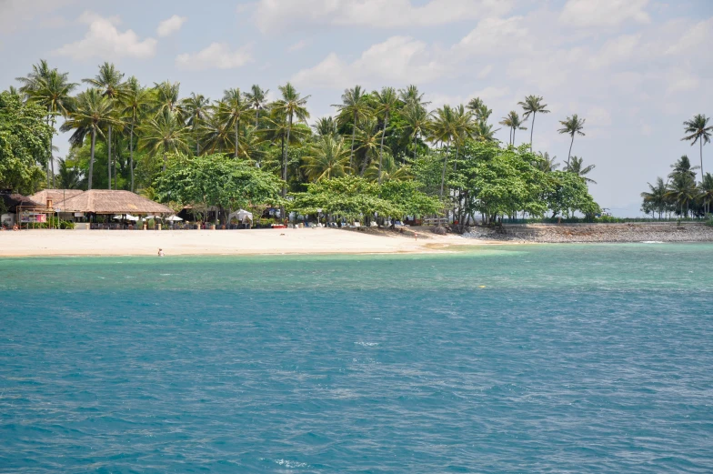 the water is blue and clear with some trees