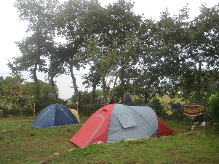 three tents pitched up next to each other near trees