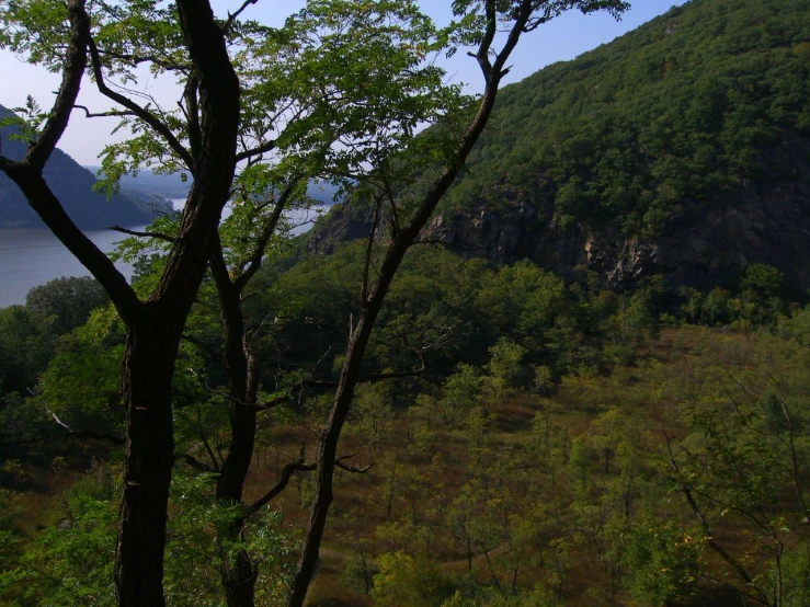 an open view looking at mountains and a lake