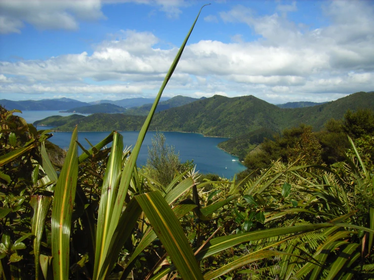 the view from the hill of some water and land