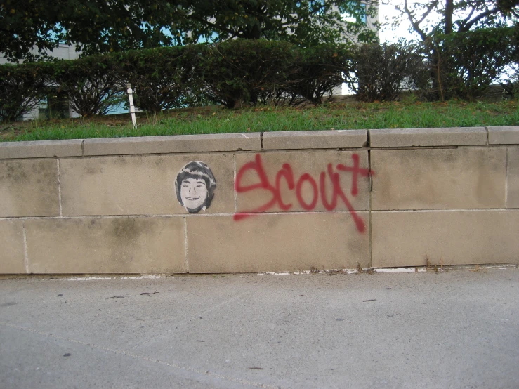 a graffiti on a cement wall that reads scout