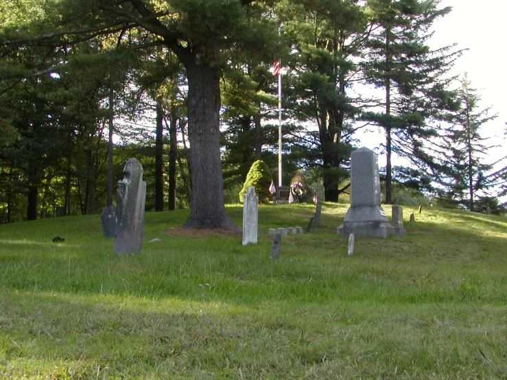 a cemetery with grass and several tombstones
