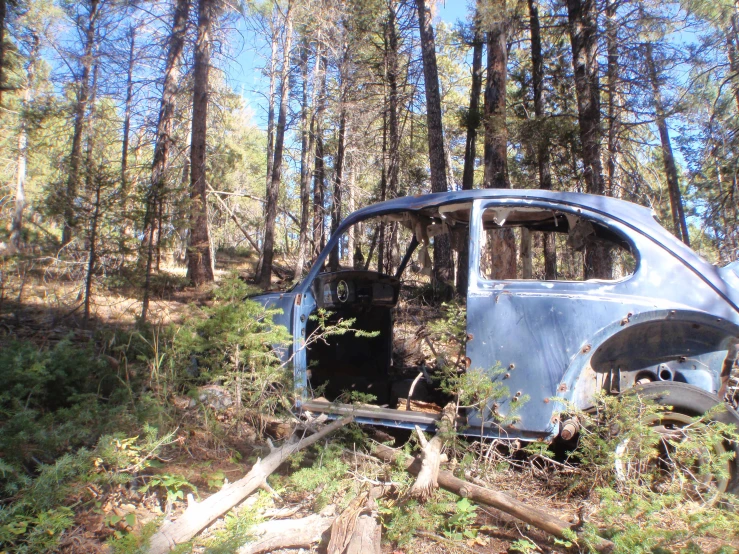 an old car abandoned in the woods, covered by trees