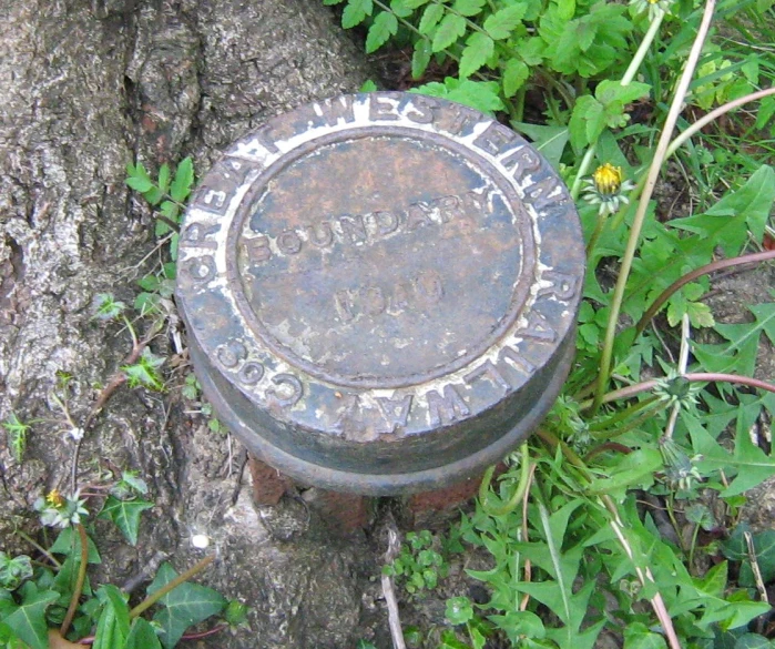 an old metal object sitting in the grass