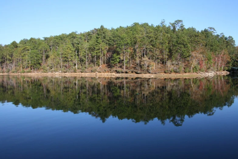 this lake has a lot of water and lots of trees