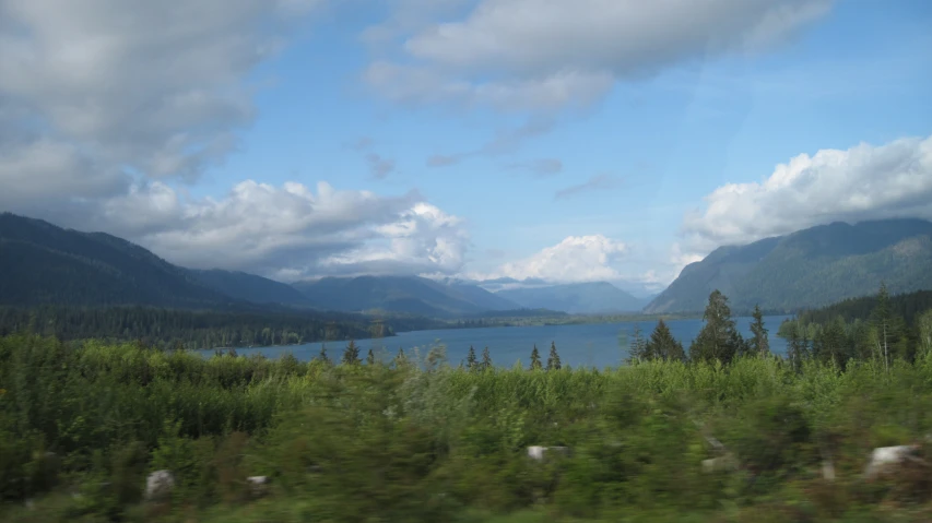 landscape taken from a moving train with the scenery outside