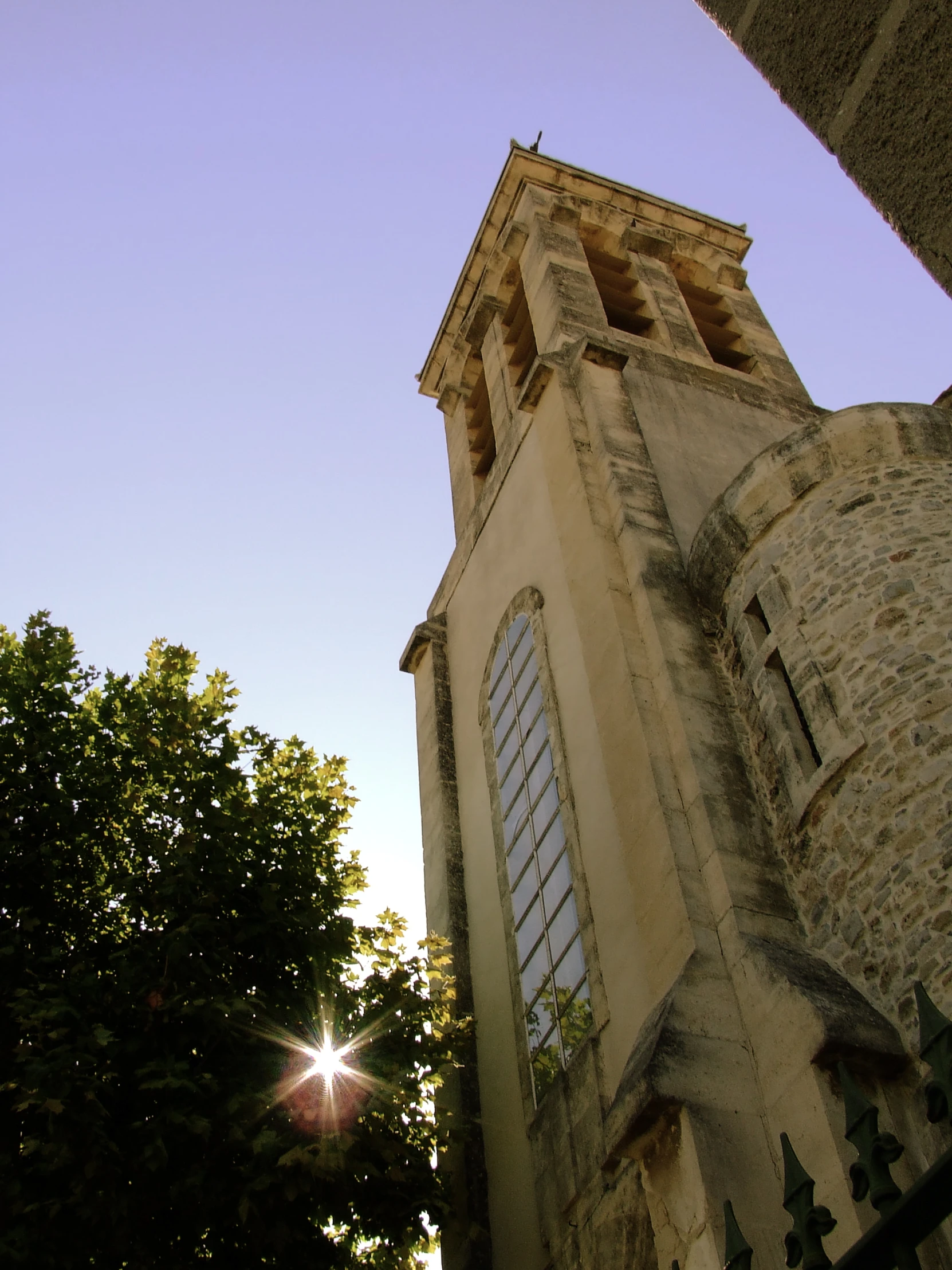 a tree in the foreground, and a building with a clock