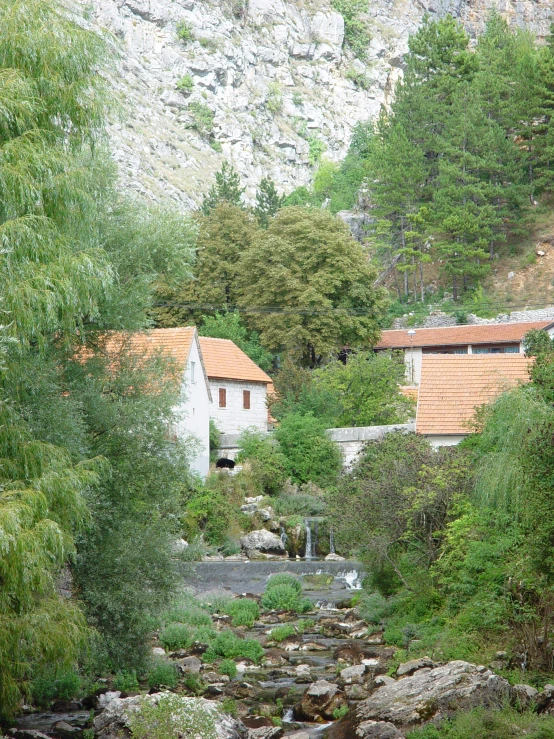 a forest is next to houses in the mountains