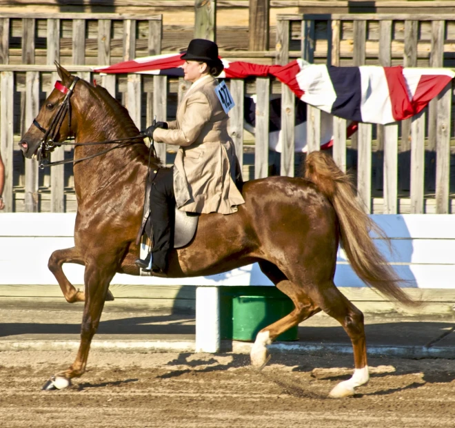 a person that is riding a horse on the dirt