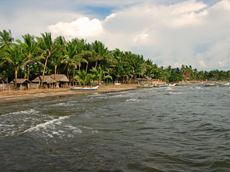 some white boats water palm trees and a house