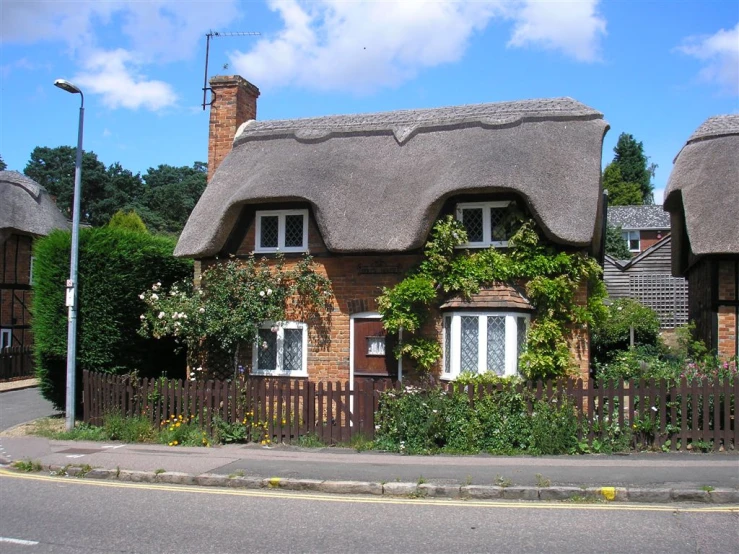 a house with plants growing on it in the city