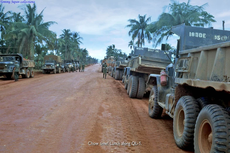 army vehicles lined up on dirt road with palm trees