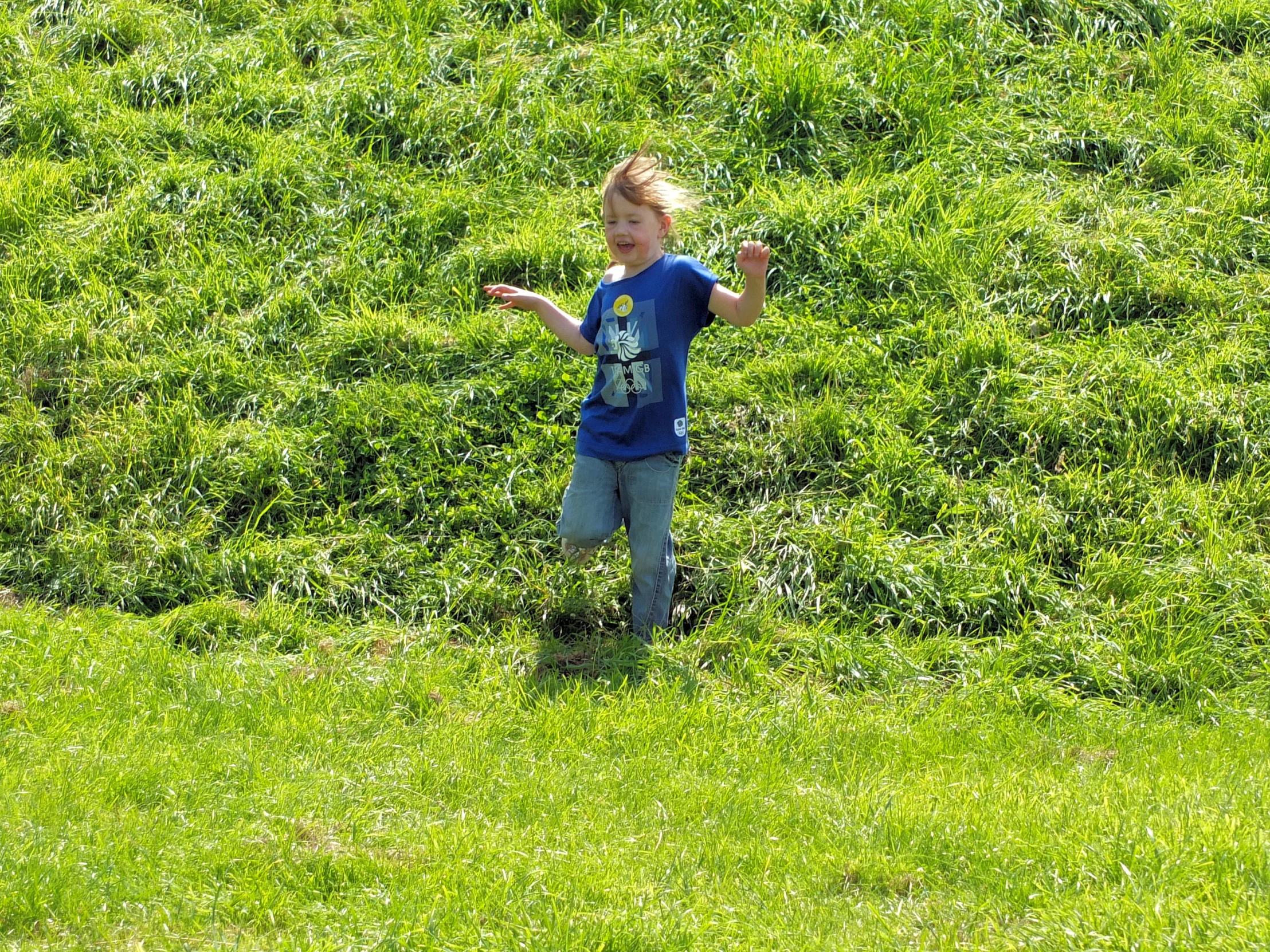 a  standing in the grass on a sunny day