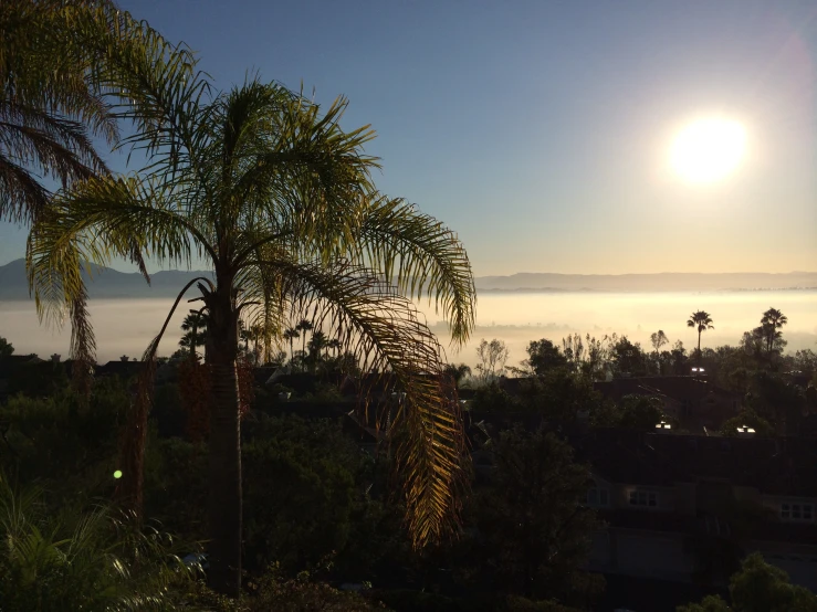 the sun is peeking through the clouds above a palm tree