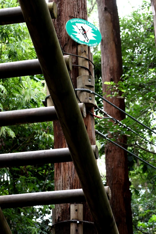 a green sign attached to a tree in the woods