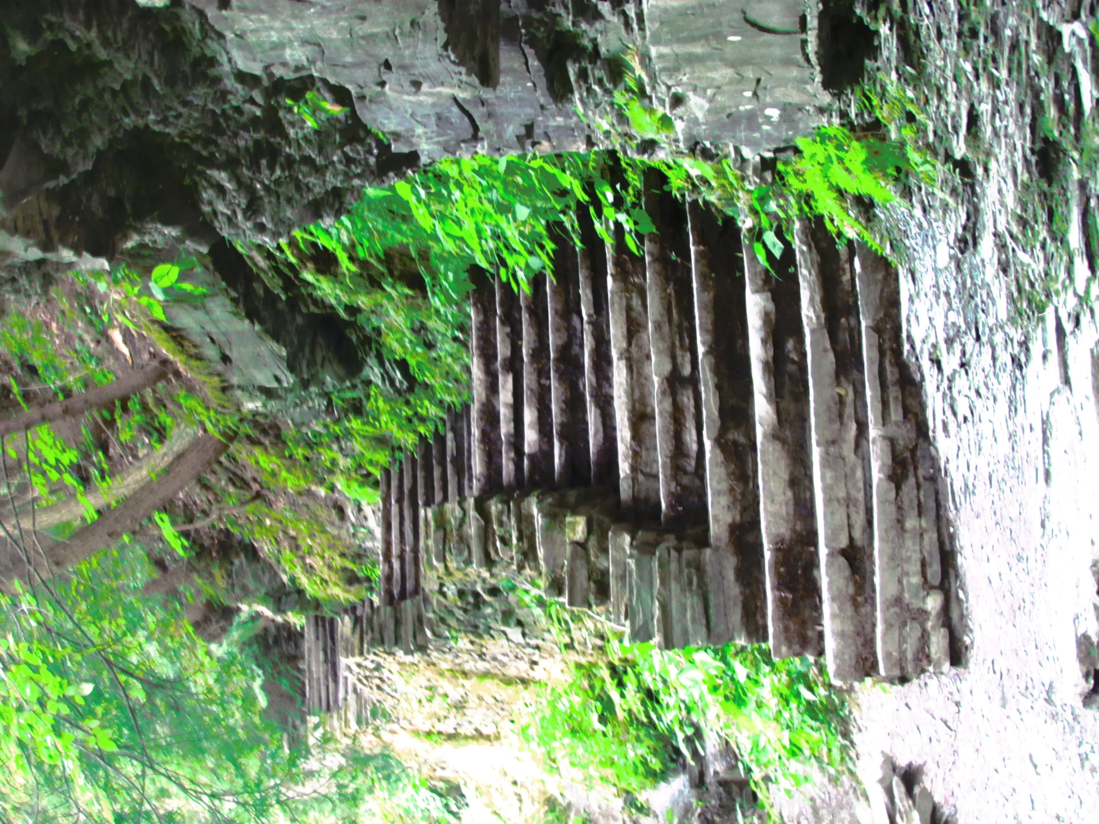 stone steps and rocks in the woods