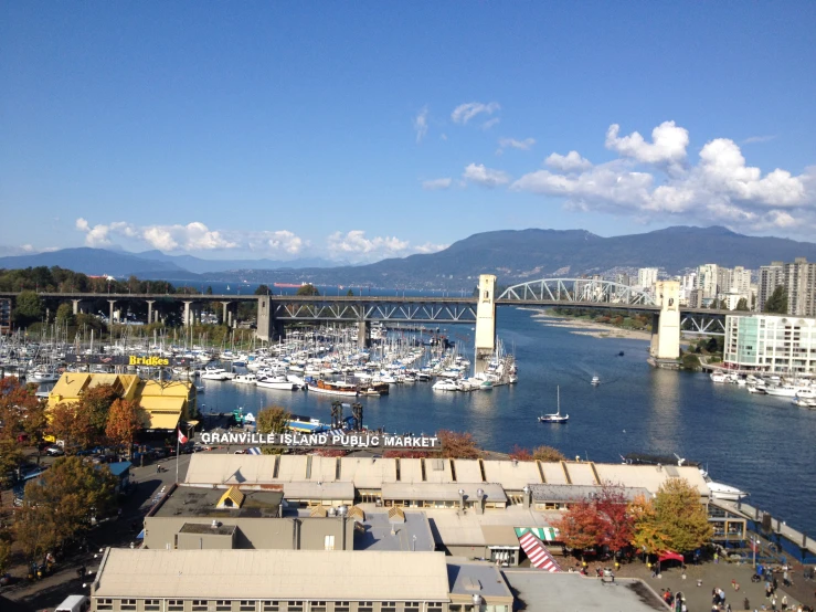 a view of the city and harbor from above