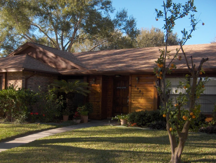 the back yard of a home with a tree in it