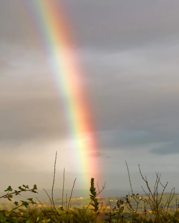 a tall rainbow shines brightly under cloudy skies