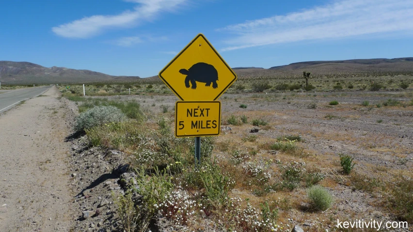a sign warning motorists that hippos must not cross
