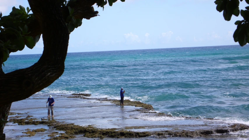 two people standing on an ocean side with trees