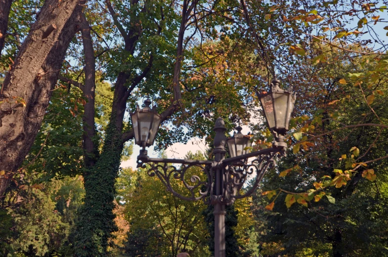 an old fashioned iron street light surrounded by trees