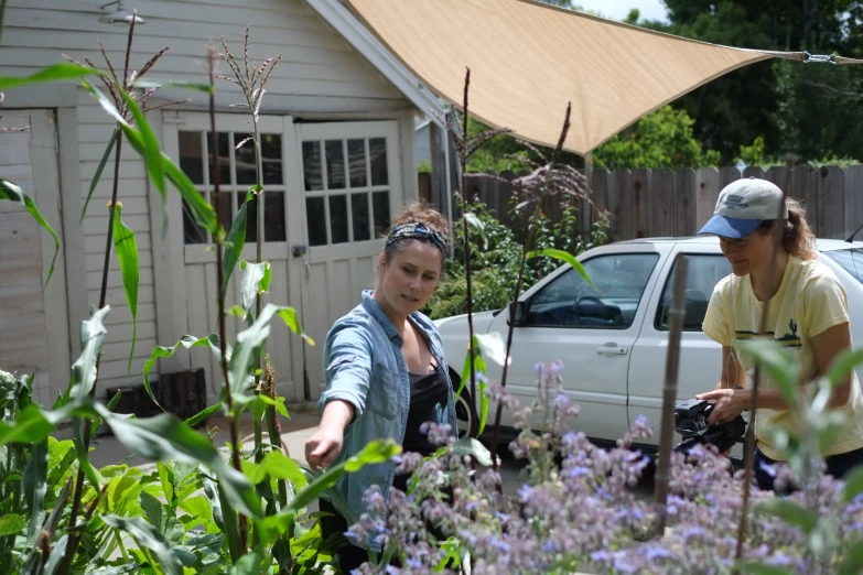 two women are tending to plants in a garden