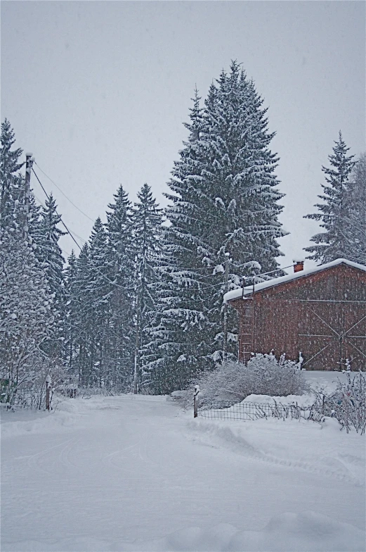 there is a red house in a snowy area