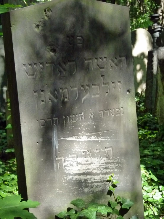 a grave sits amongst lush green vegetation