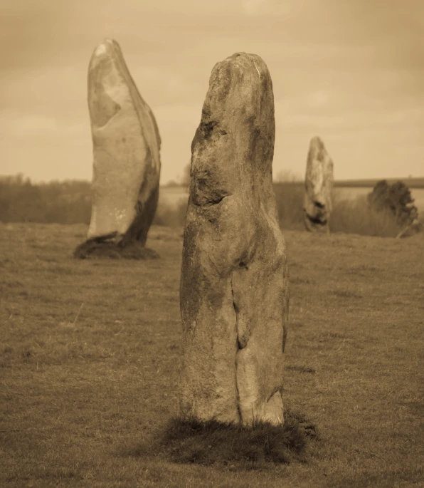 an image of a grassy area with some very big rocks