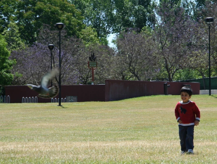 a child standing on top of a lush green field