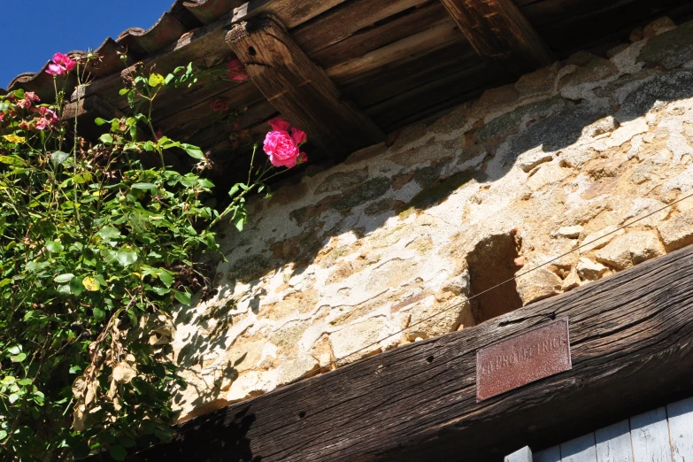 a building with wood fence and roses on it