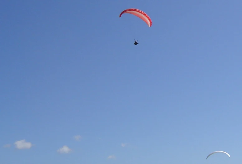 kites are being flown in the sky above a beach