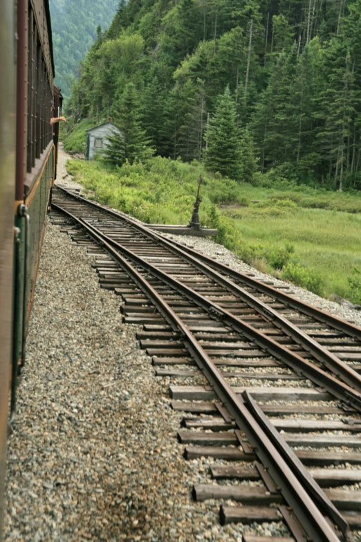 two tracks going through a forested area on an abandoned train