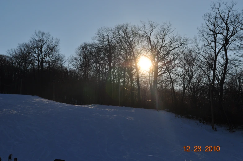 a sun peeking through the trees on a snowy day