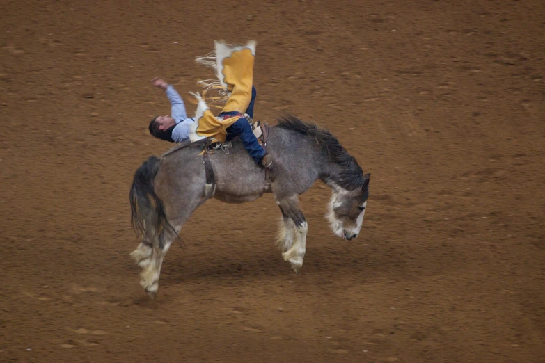 a little boy riding a horse that is standing on one leg