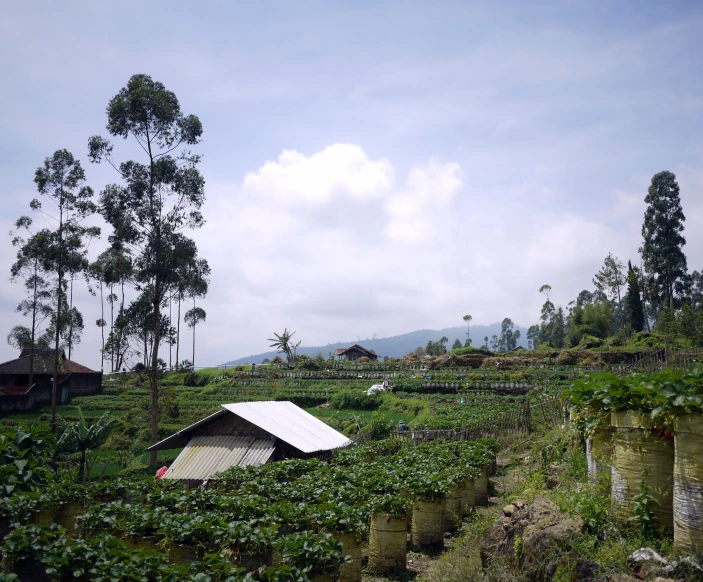 a farm with mountains in the background