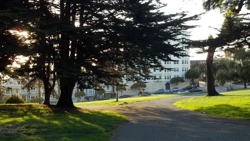 the view of a walkway and street in a residential neighborhood