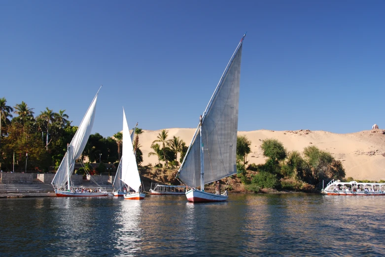 sailboats on the water with sand and trees behind them