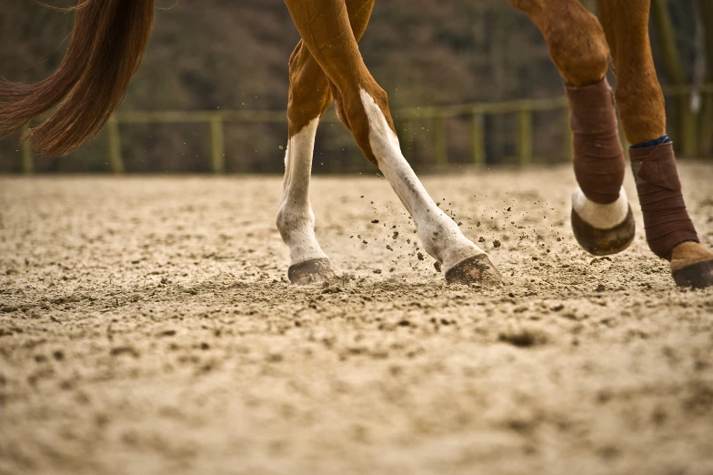 a person that is riding on a horse in the dirt