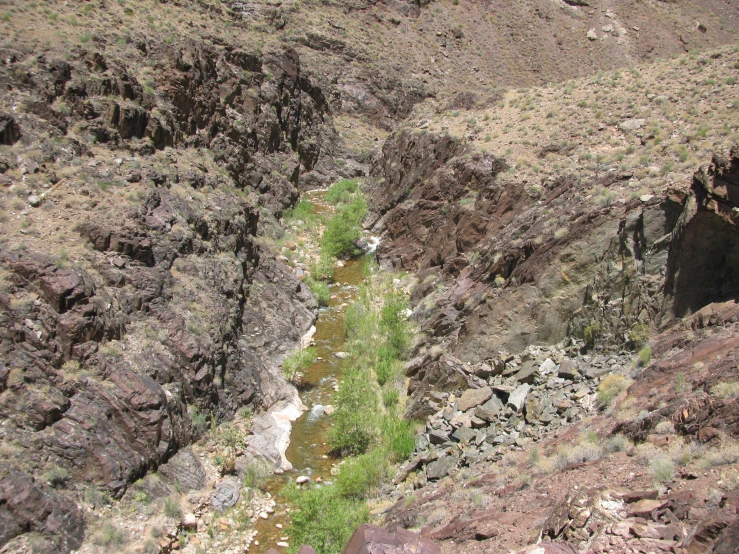 a narrow rocky canyon with some green plants growing in it