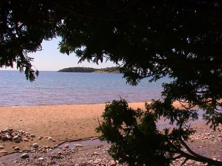 a sandy shore with trees and rocks on the beach