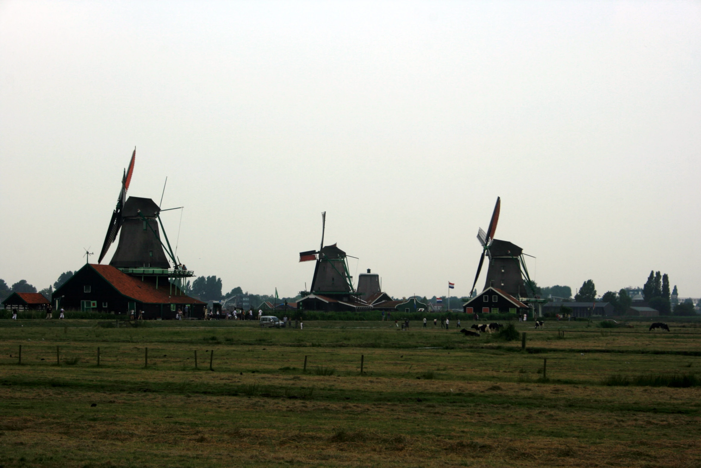 an assortment of windmills next to each other on the field