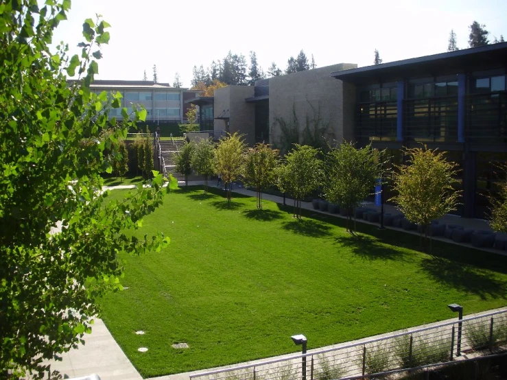 this is a large yard with trees and landscaping