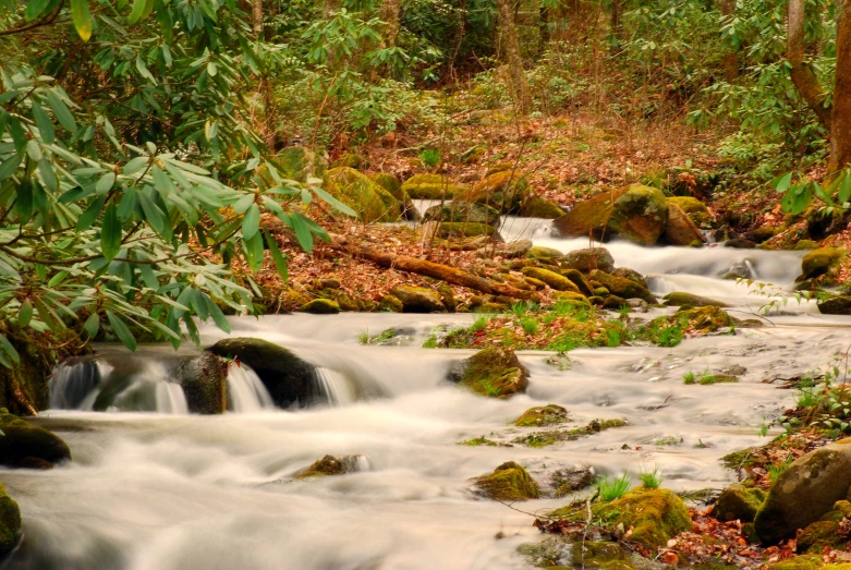 a creek with some very beautiful waterfalls running through it