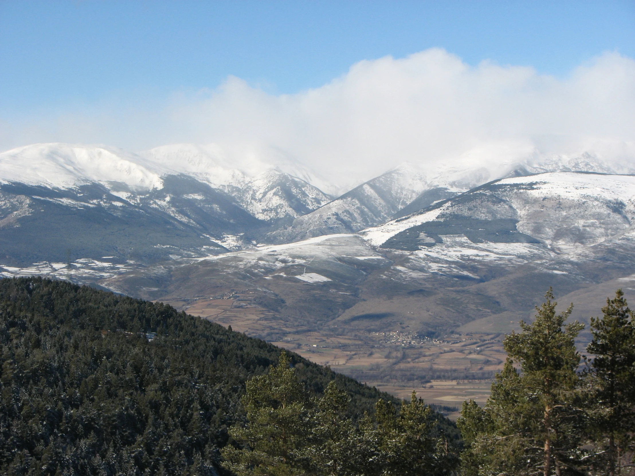 a large snowy mountain with many trees on it